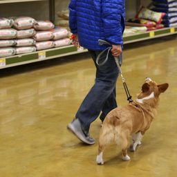 photograph by PeterW